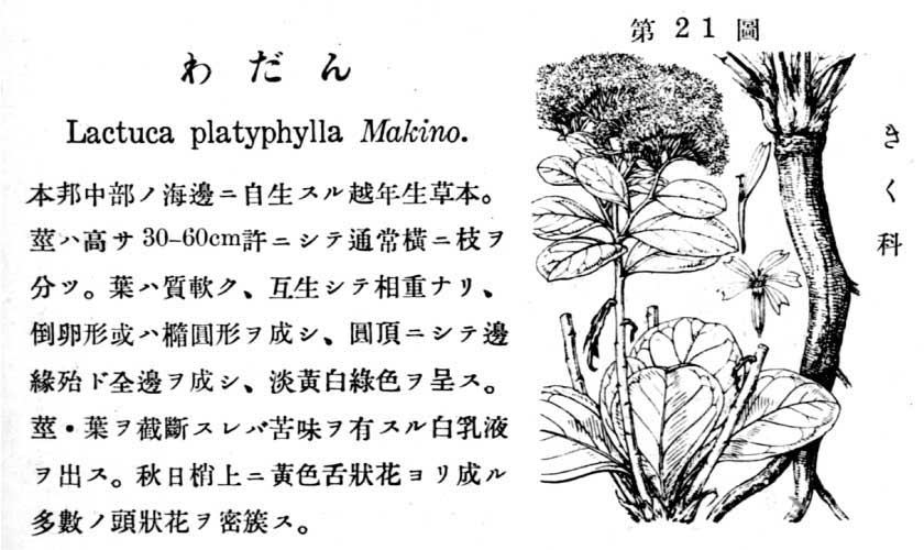 植物図鑑