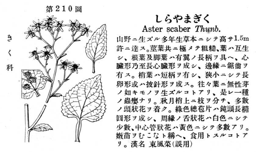 植物図鑑