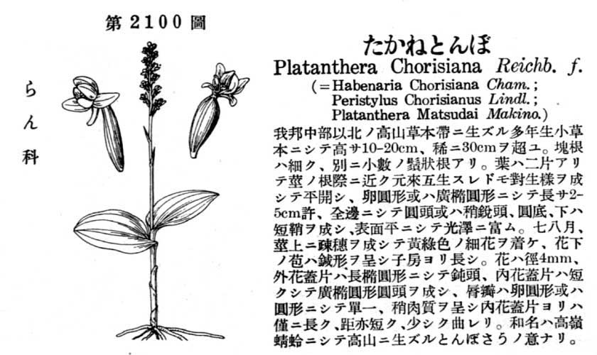 植物図鑑