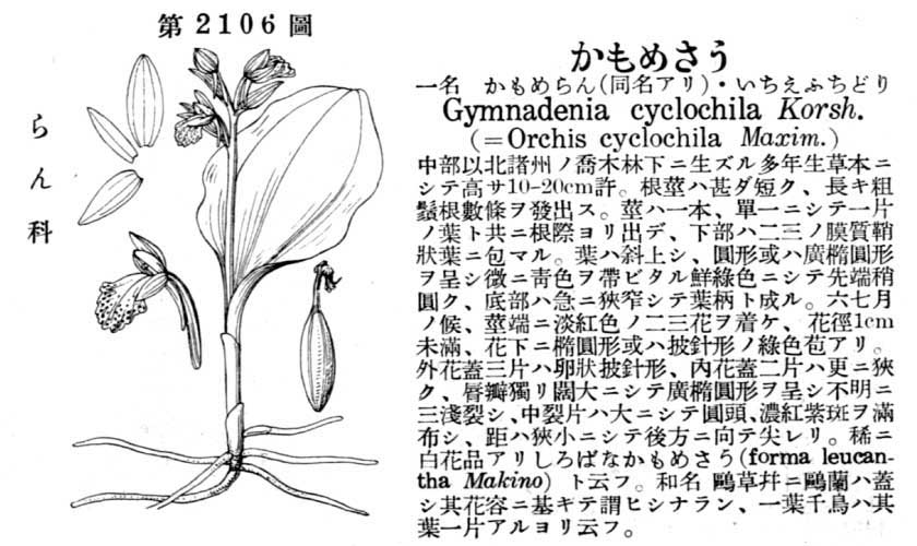 植物図鑑