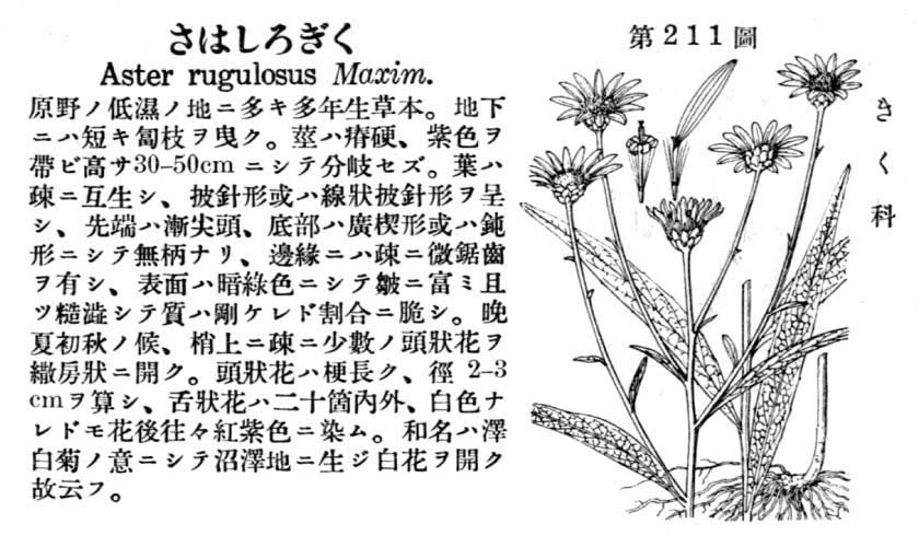 植物図鑑