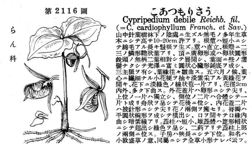 植物図鑑