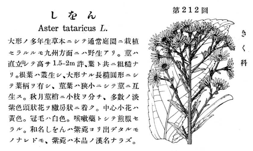 植物図鑑