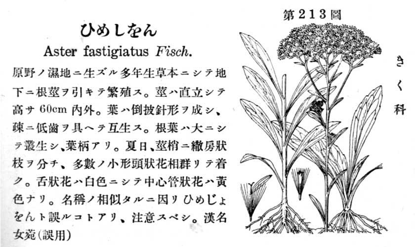 植物図鑑