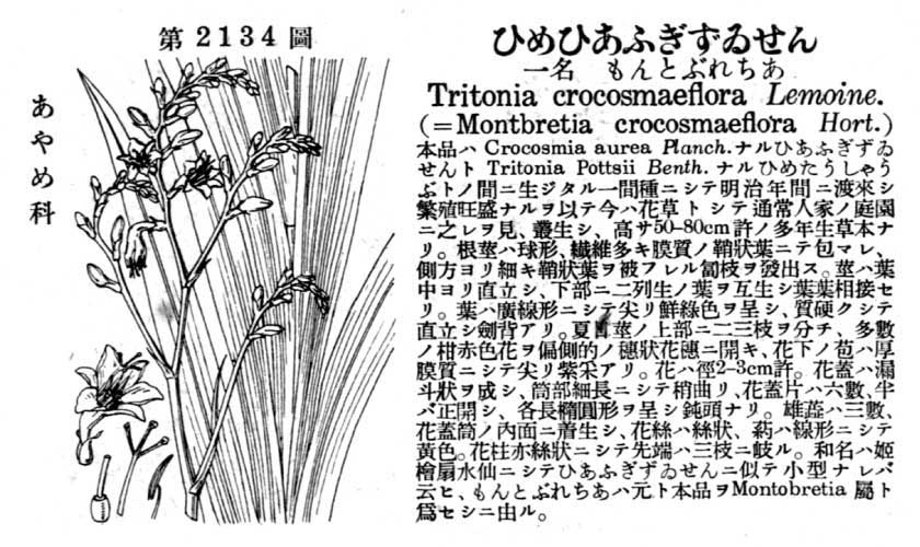 植物図鑑