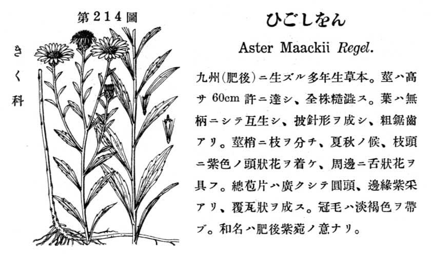 植物図鑑