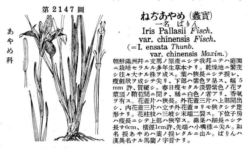 植物図鑑
