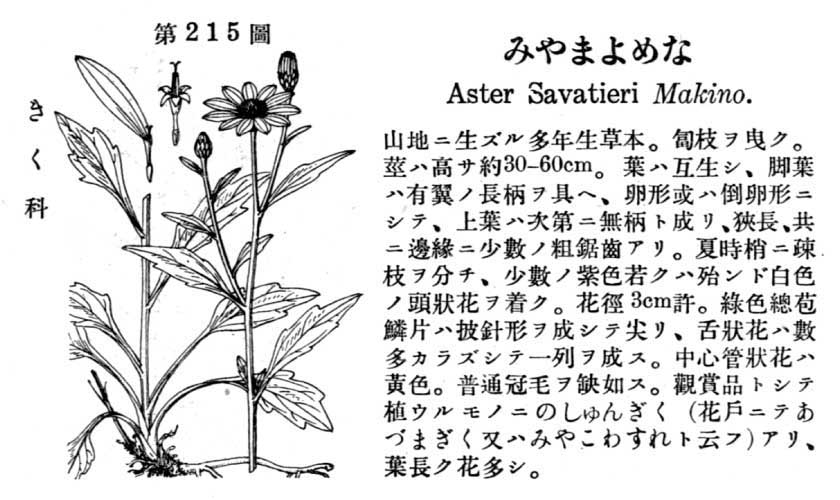 植物図鑑