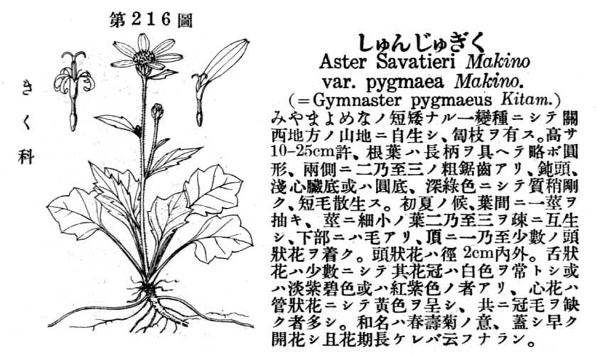 植物図鑑