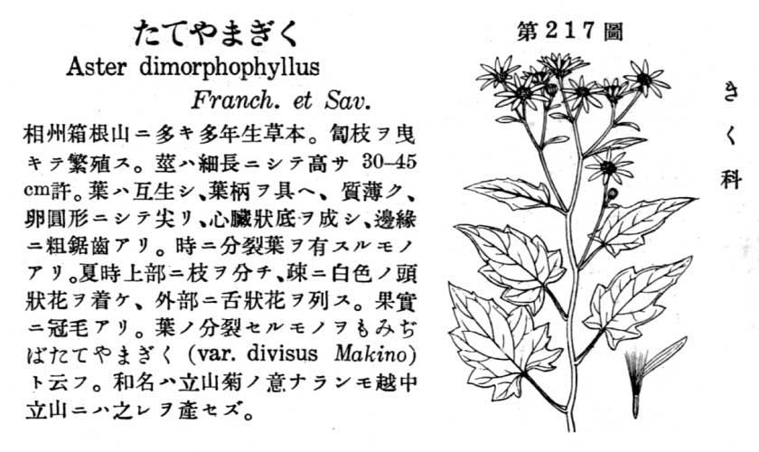 植物図鑑