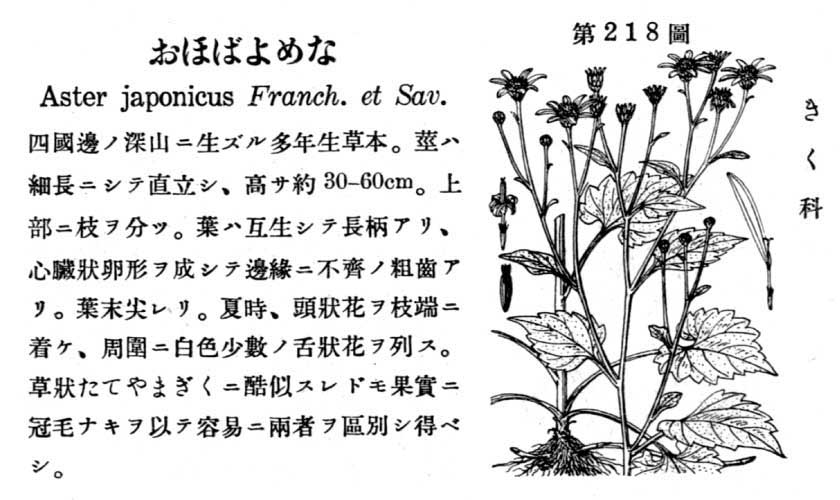 植物図鑑