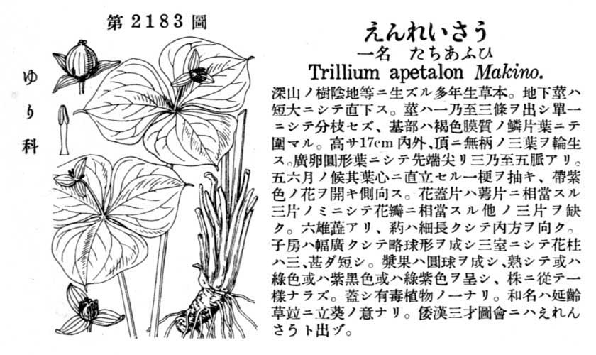 植物図鑑