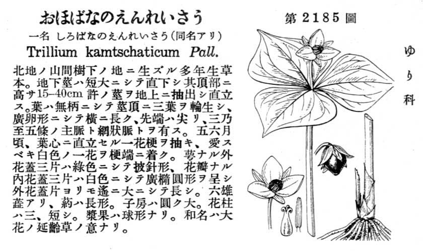 植物図鑑