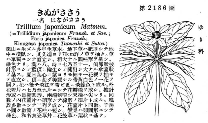 植物図鑑