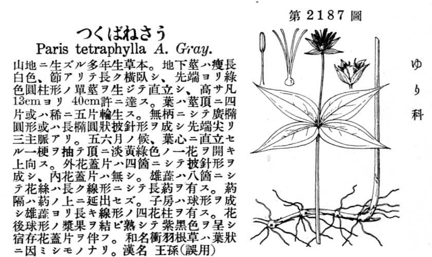 植物図鑑