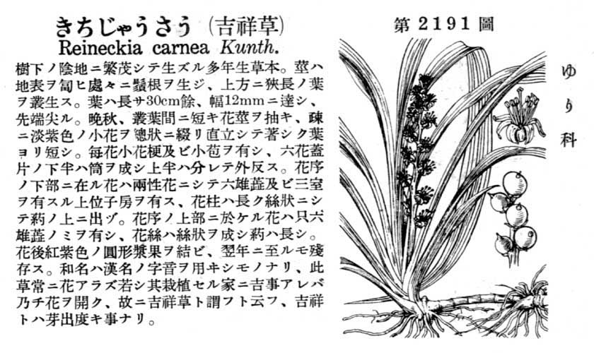 植物図鑑