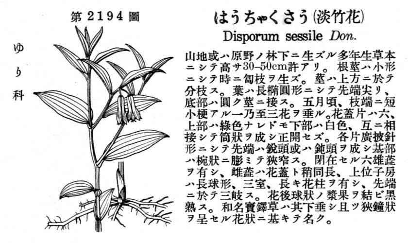 植物図鑑