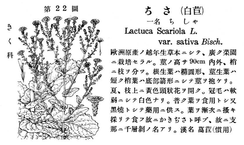 植物図鑑