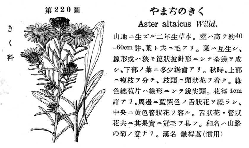 植物図鑑