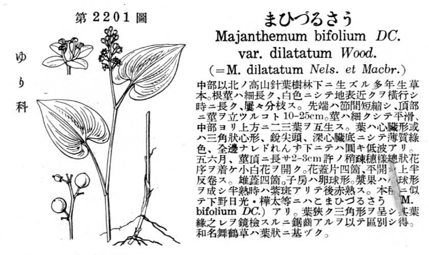 植物図鑑