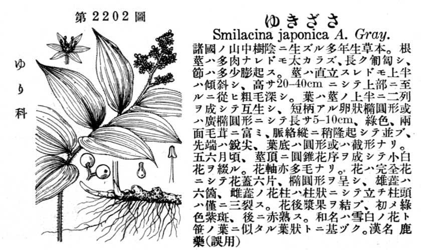 植物図鑑