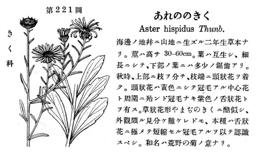 植物図鑑