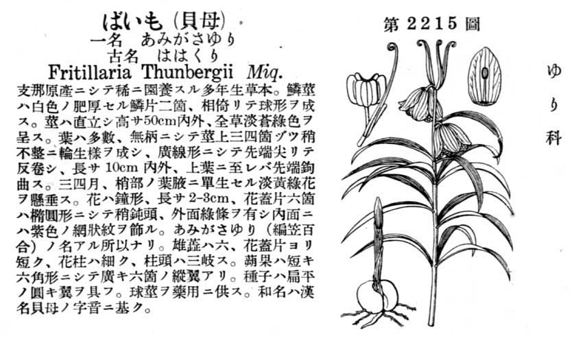 植物図鑑