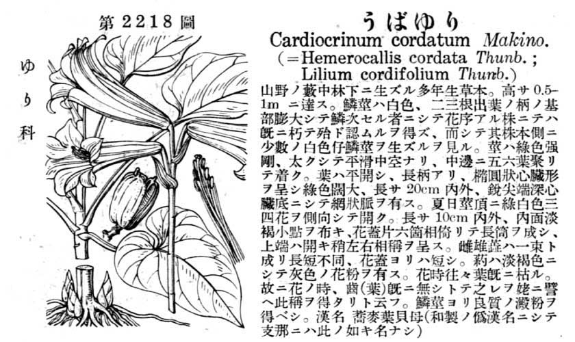 植物図鑑