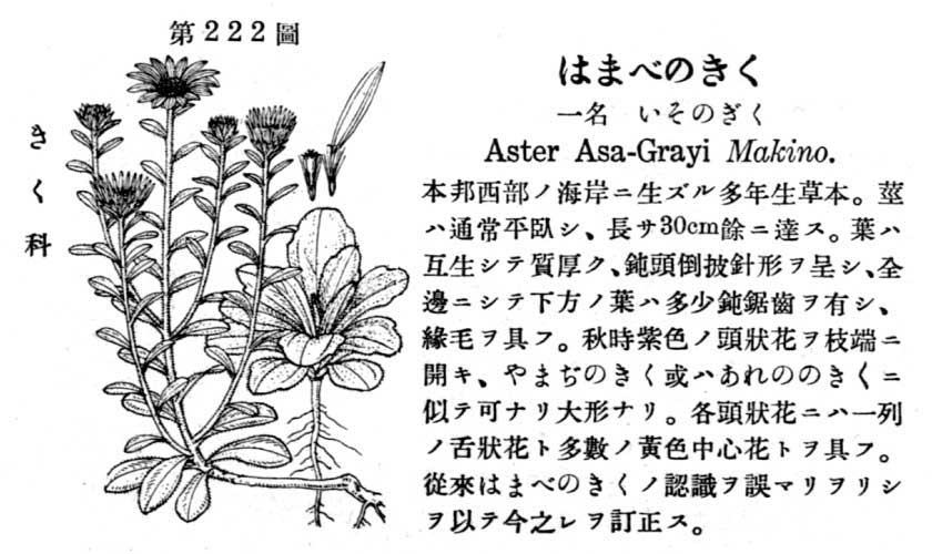 植物図鑑
