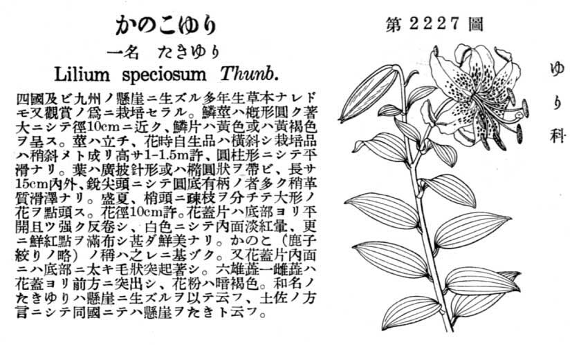 植物図鑑