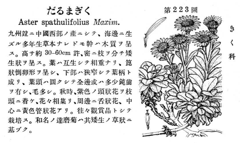 植物図鑑