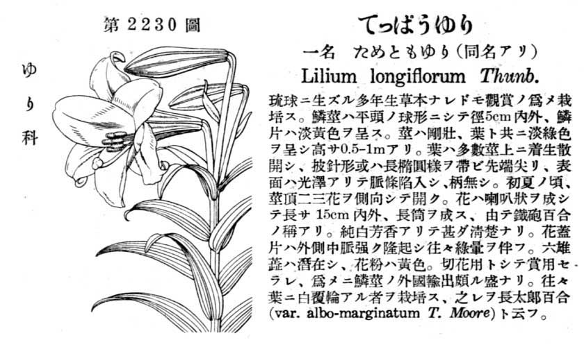 植物図鑑