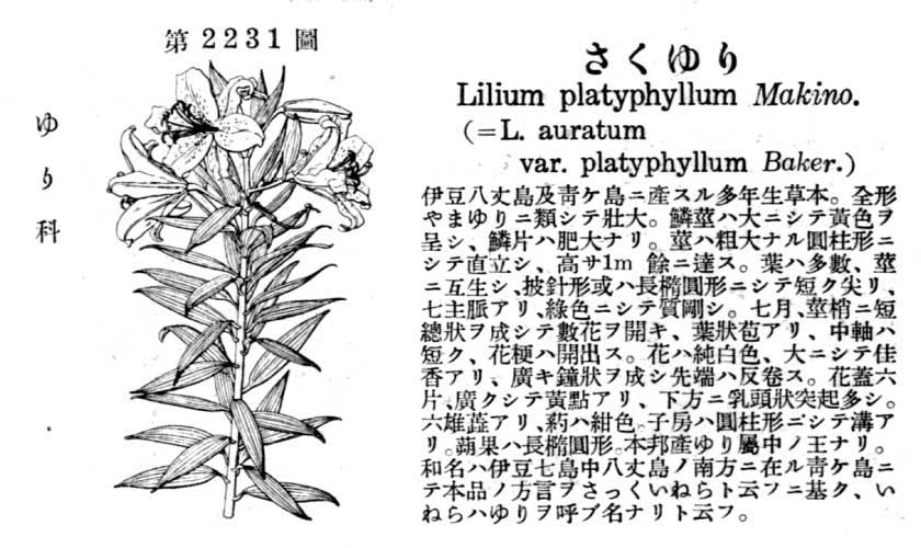 植物図鑑