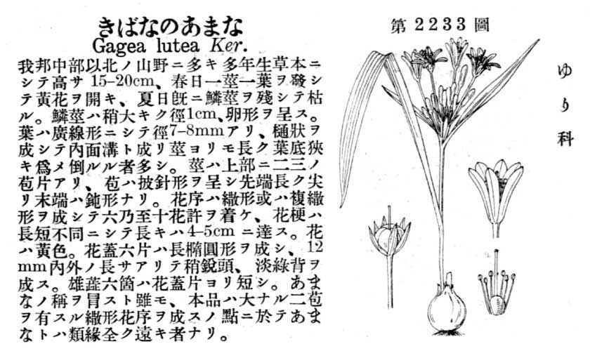 植物図鑑