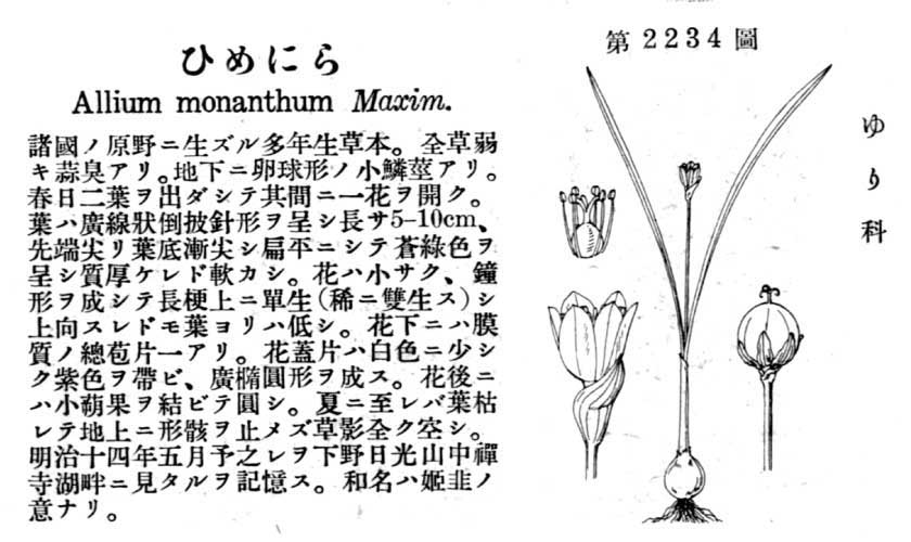 植物図鑑