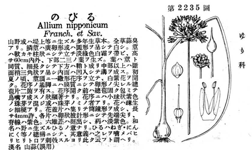 植物図鑑