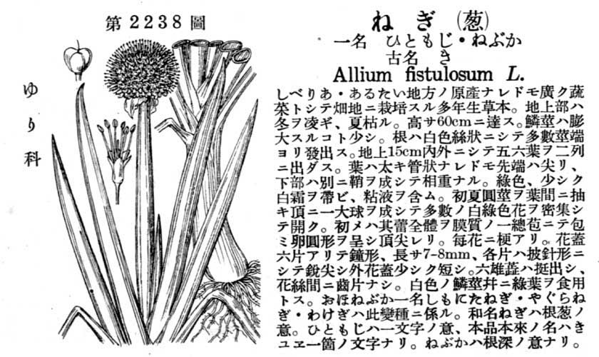 植物図鑑