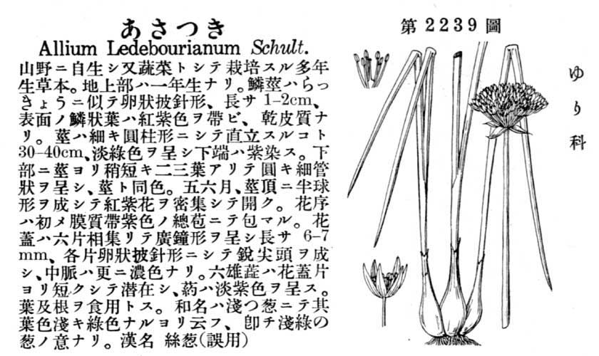 植物図鑑