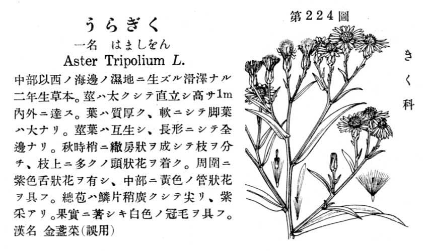 植物図鑑