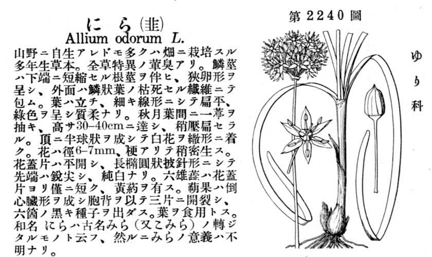 植物図鑑