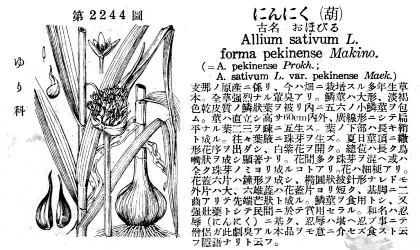 植物図鑑