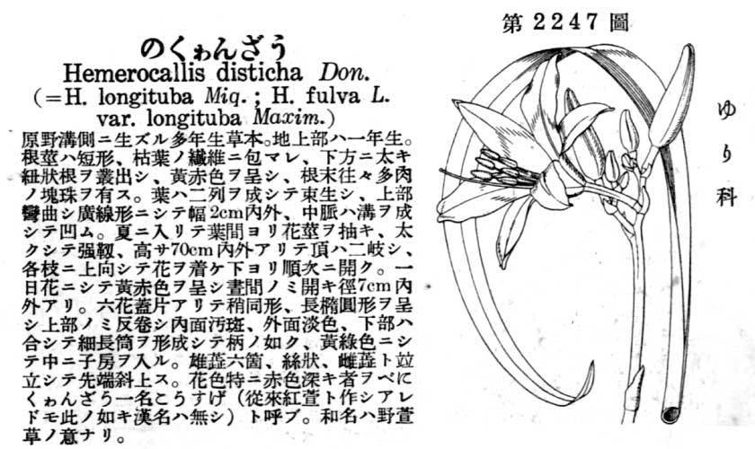 植物図鑑