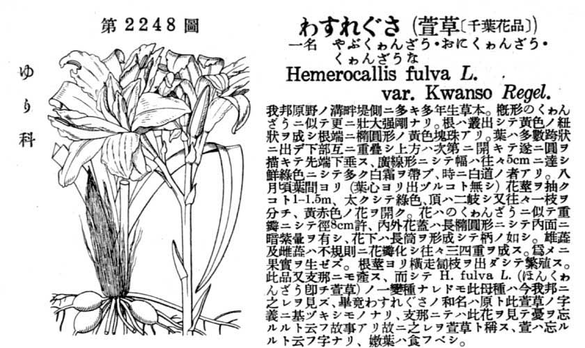 植物図鑑