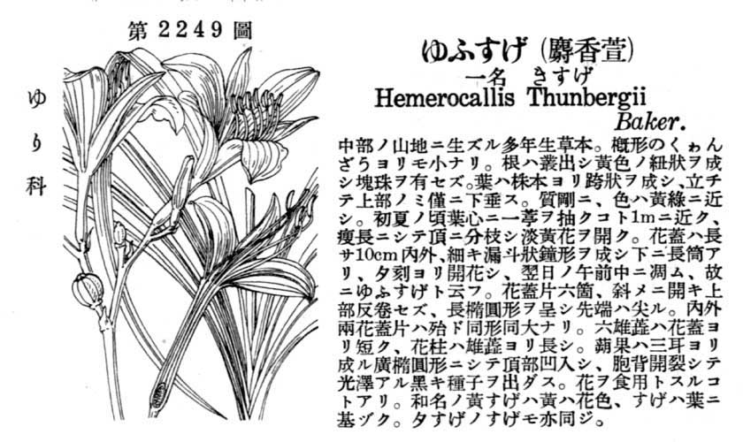 植物図鑑