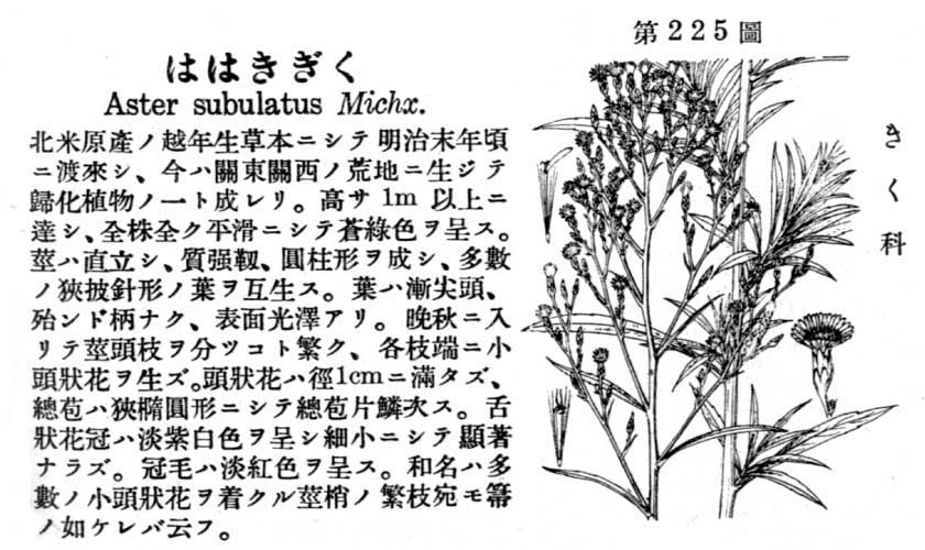 植物図鑑