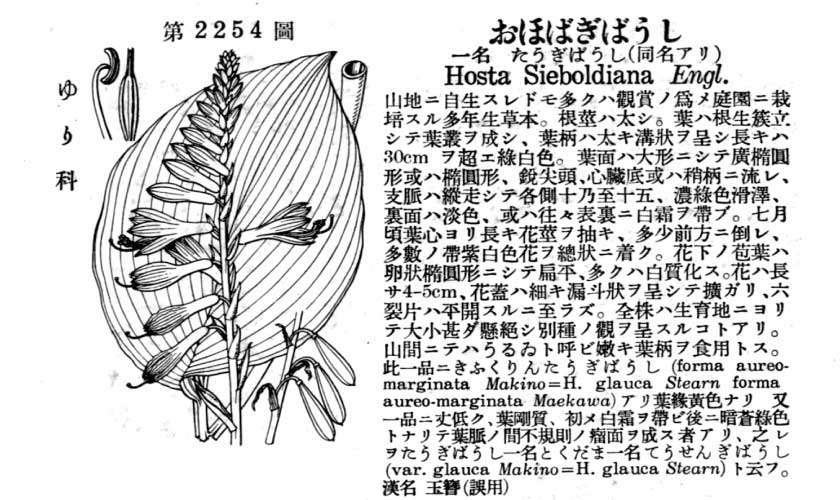 植物図鑑