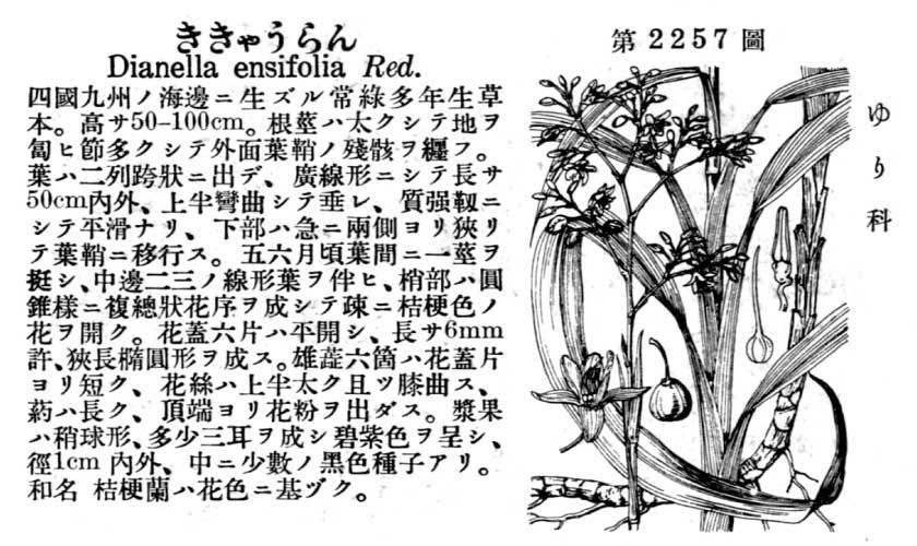 植物図鑑