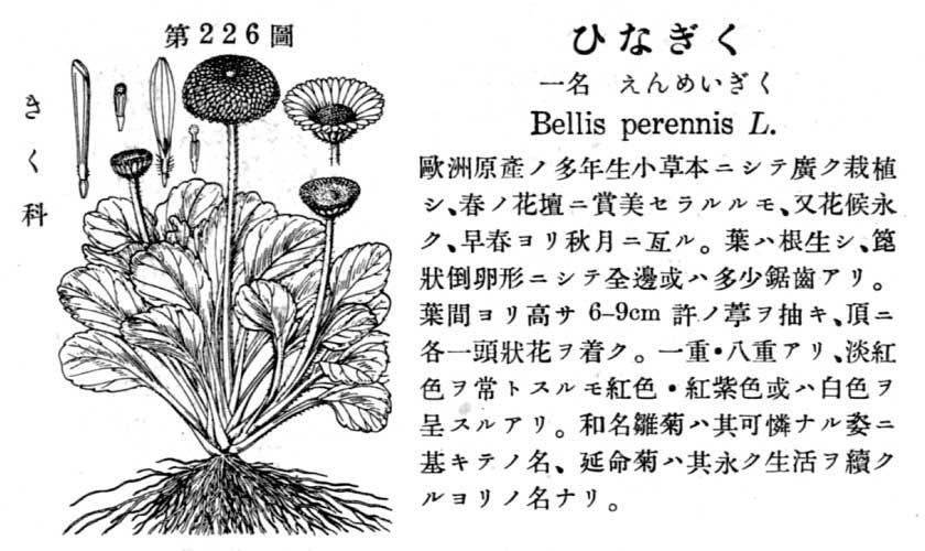 植物図鑑