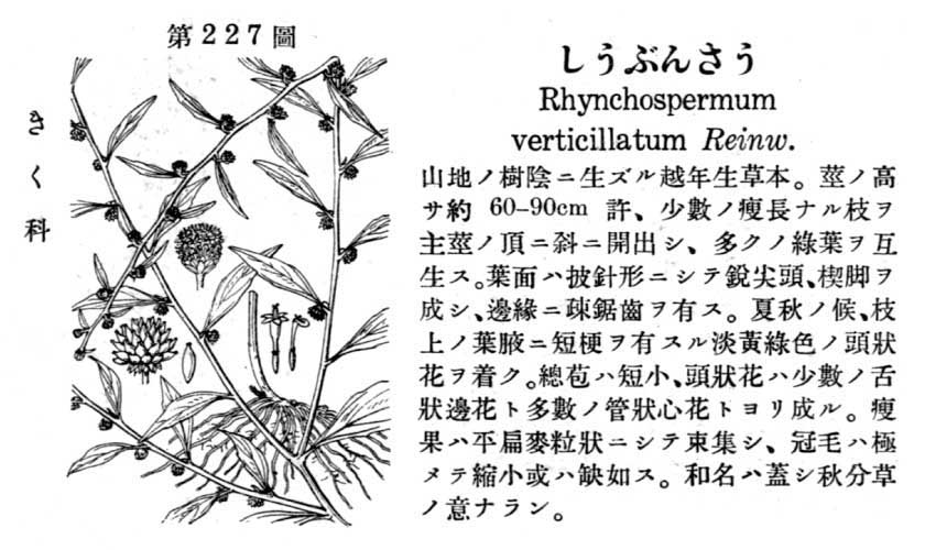 植物図鑑