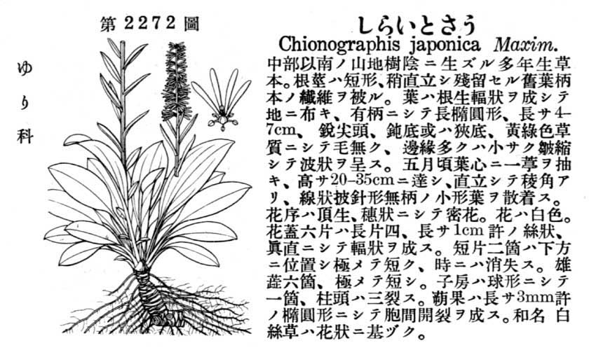 植物図鑑